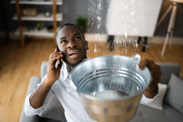 Best Professional water damage repair  in Chinchilla, PA