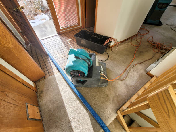 Best Ceiling water damage repair  in Chinchilla, PA