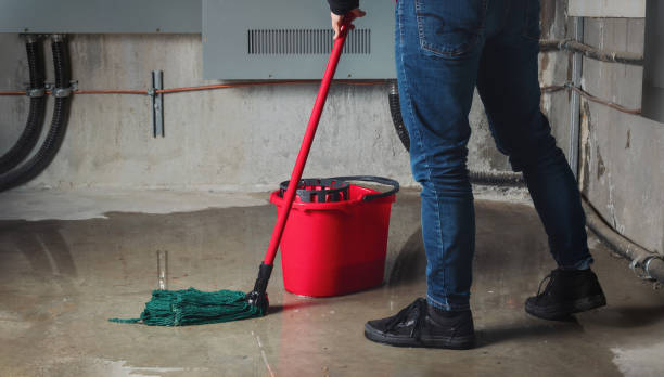 Best Fire Damage Restoration  in Chinchilla, PA