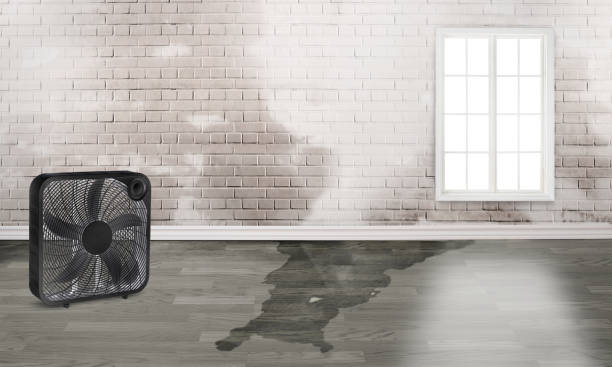 24/7 water damage repair in Chinchilla, PA