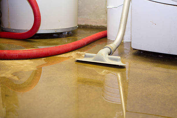Best Flood damage cleanup  in Chinchilla, PA