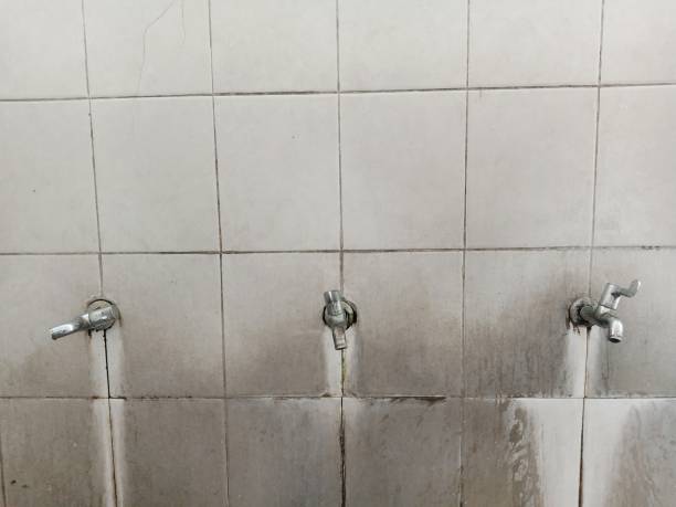 Reliable Chinchilla, PA Water damage restoration Solutions
