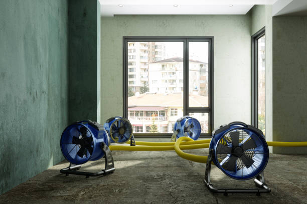 Best Commercial water damage restoration  in Chinchilla, PA